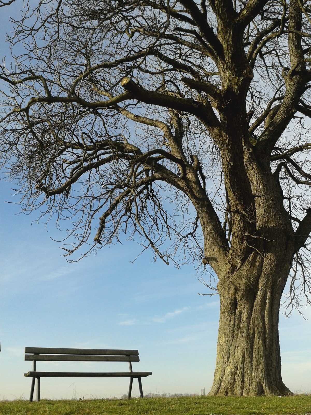 Willkommen Zuhause bei Dir